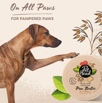 Pet Head On All Paws Paw Butter 40g