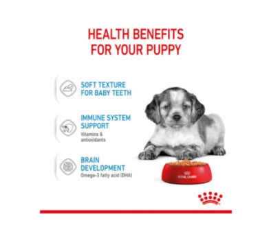 ROYAL CANIN MEDIUM PUPPY 10X140g