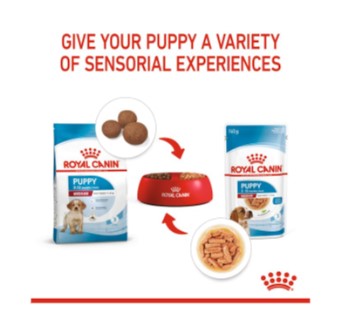 ROYAL CANIN MEDIUM PUPPY 10X140g