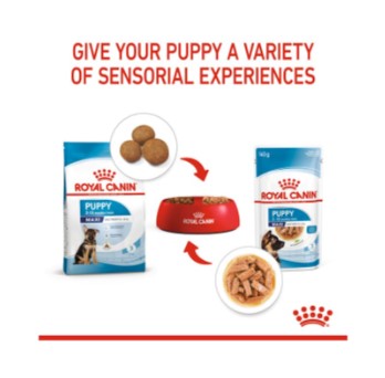 ROYAL CANIN DOG MAXI PUPPY 10X140g