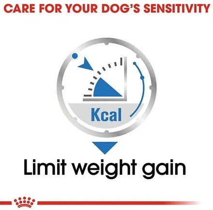 ROYAL CANIN LIGHT WEIGHT CARE ALL SIZES WET FOOD 85g X 12