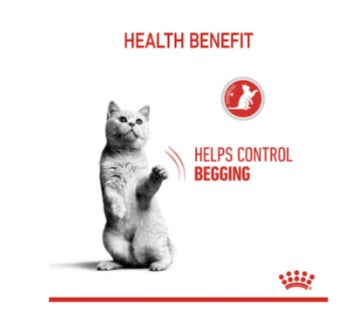 ROYAL CANIN APPETITE CONTROL IN GRAVY 12x85g POUCH