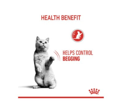 ROYAL CANIN APPETITE CONTROL JELLY POUCHES 12x85g