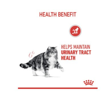 ROYAL CANIN URINARY CARE IN JELLY 12 x 85g