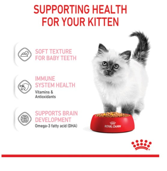 ROYAL CANIN KITTEN IN JELLY STAGE 3 12X85G