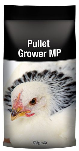 LAUCKE PULLET GROWER 20KG