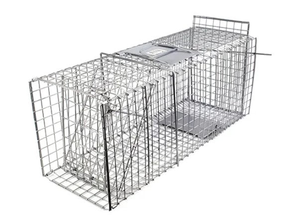 CAGE TRAP - COLLAPSIBLE 66CM