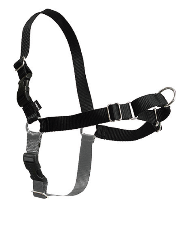 BEAU PETS GENTLE LEADER EASY WALK DOG HARNESS X-LARGE