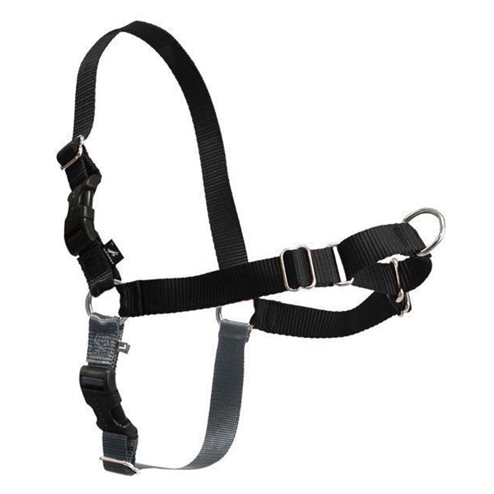 BEAU PETS GENTLE LEADER EASY WALK DOG HARNESS SMALL