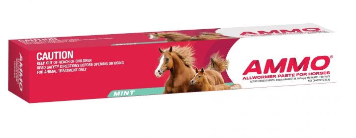 CEVA AMMO ALLWORMER PASTE PEPPERMINT 32.5G