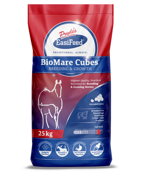 PRYDES BIOMARE CUBES 25kg