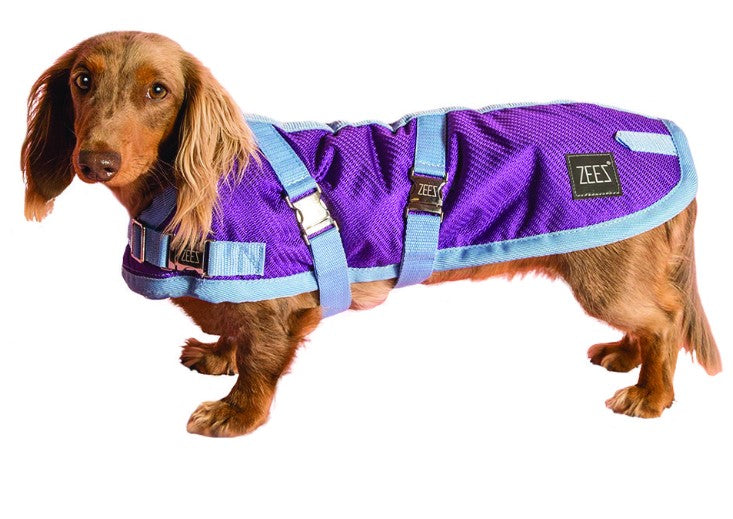 ZEEZ SUPREME DOG COAT GRAPE PURPLE/BLUE