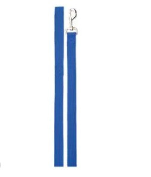CANINE CARE DOG LEAD WEB BLUE 180cmx25mm