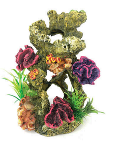 CORAL REEF WITH PLANT 033