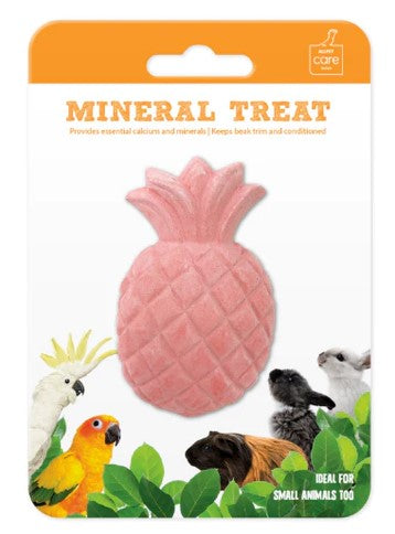 AVIAN CARE BIRD MINERAL STONE PINEAPPLE