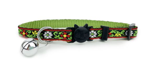 Catwalk Colllection Collar Assorted