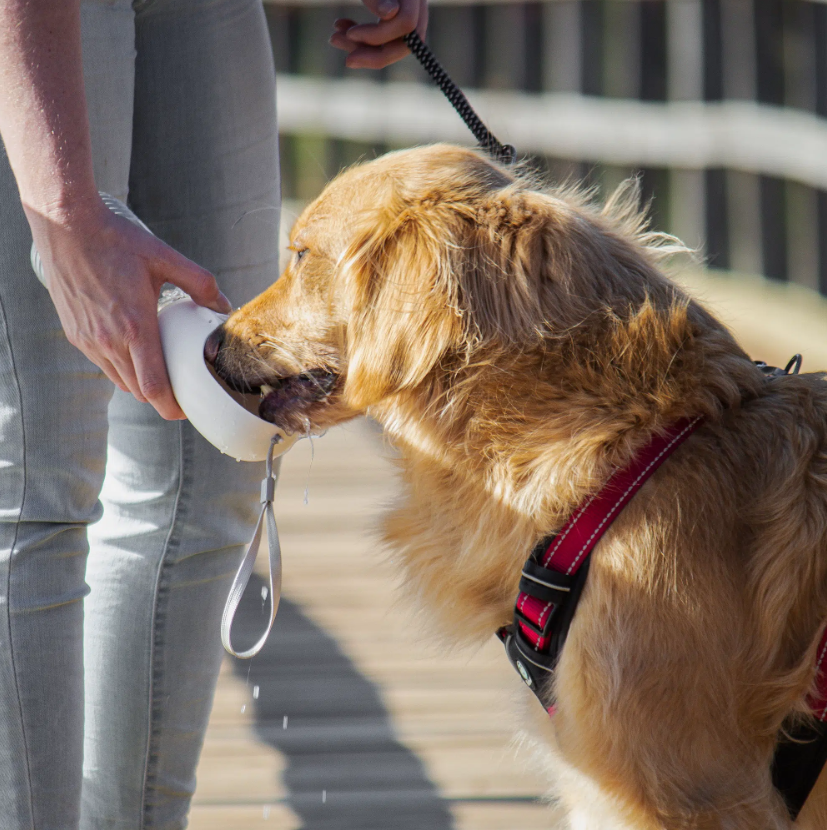 HUSKIMO WATER BOTTLE & POOP BAG DISPENSER 380ML