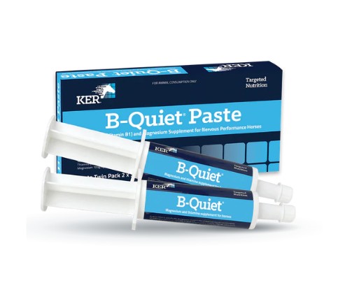 KER B QUIET PASTE 2X30G TWIN PACK