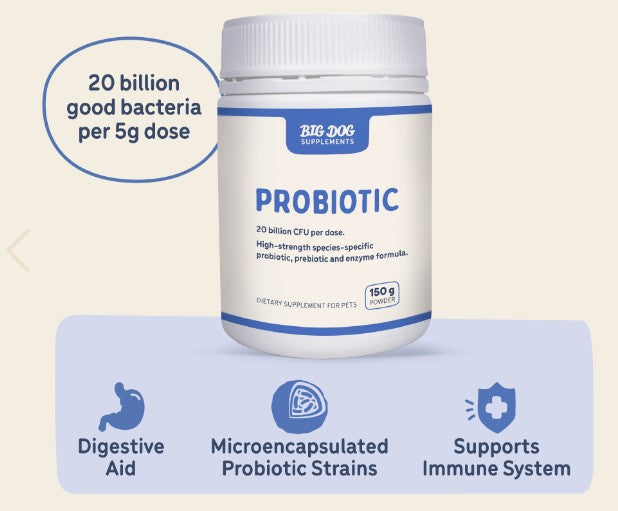 BIG DOG PROBIOTIC 150G
