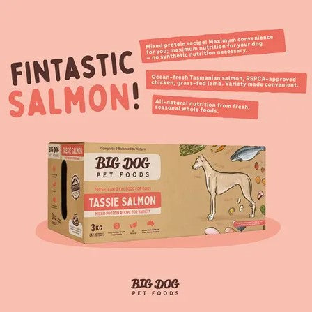 BIG DOG Tas Salmon Raw Food for Dog 3KG