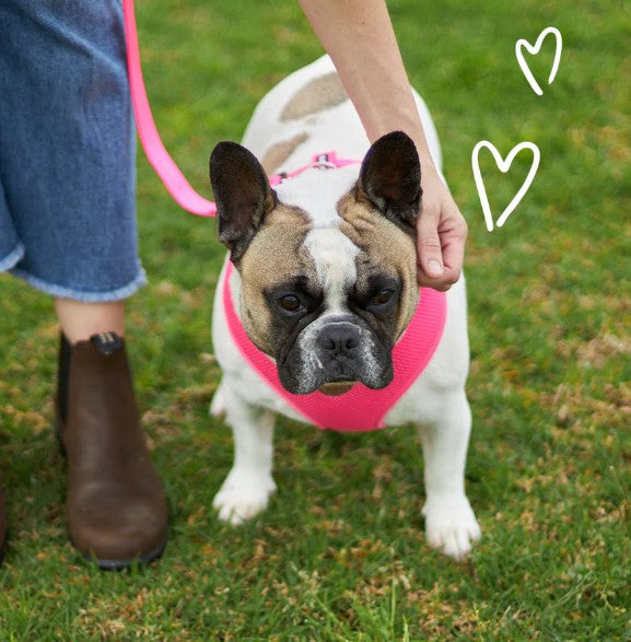 KAZOO CLASSIC SOFT HARNESS PINK