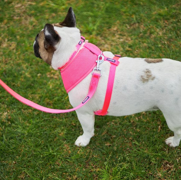 KAZOO CLASSIC SOFT HARNESS PINK