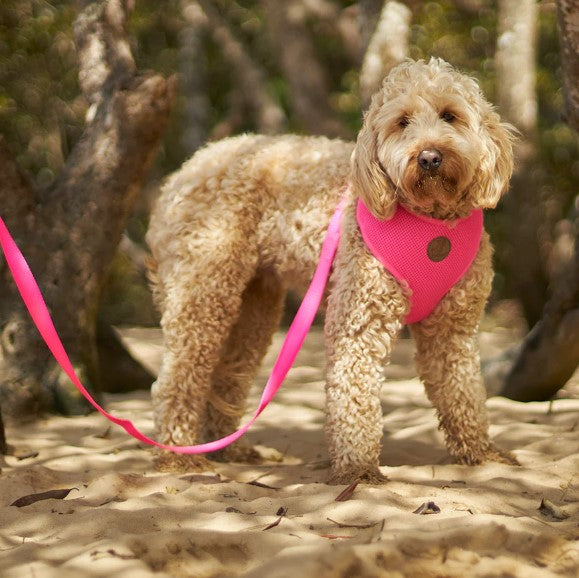 KAZOO CLASSIC SOFT HARNESS PINK