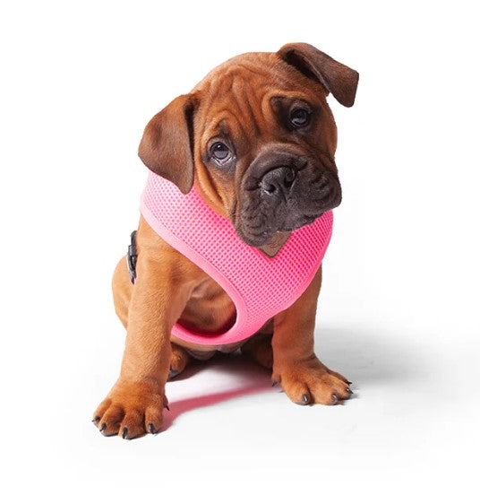 KAZOO CLASSIC SOFT HARNESS PINK