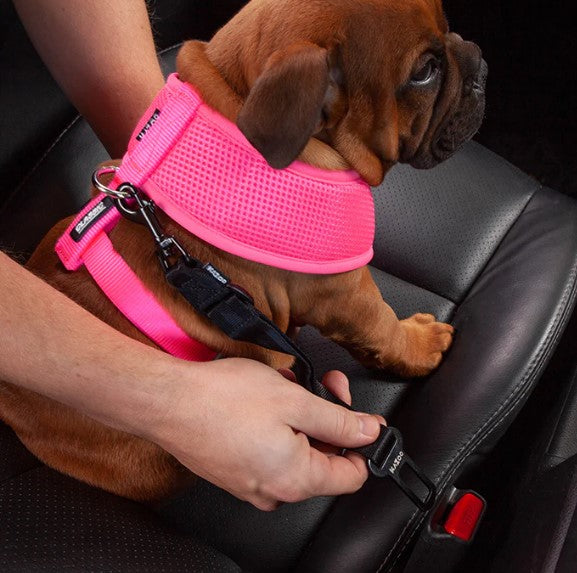 KAZOO CLASSIC SOFT HARNESS PINK