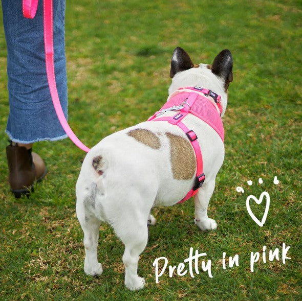 KAZOO CLASSIC SOFT HARNESS PINK