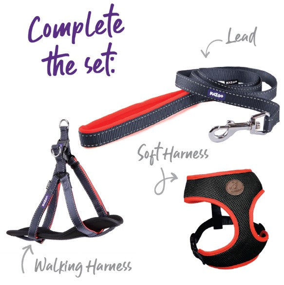 KAZOO ACTIVE WALKING HARNESS