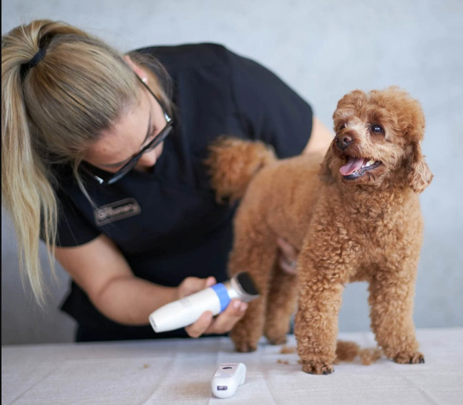 Kazoo Cordless Multi-Groom Dog Clipper