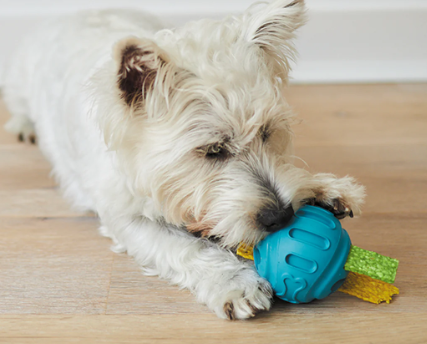 KAZOO DOG CHEW N' TREAT ENRICHMENT RUBBER BALL - MEDIUM