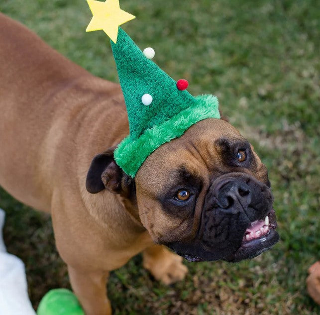 KAZOO Christmas Tree Hat