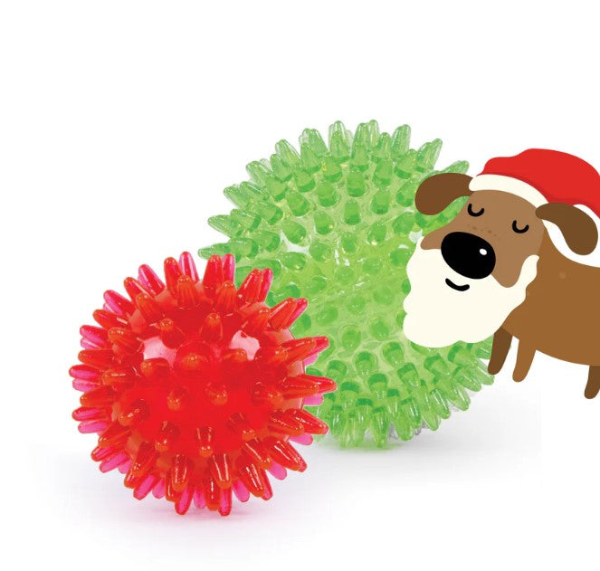 Kazoo Santa Paws Star Ball - Small