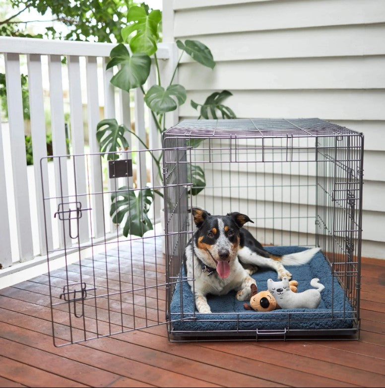 Kazoo Everyday Dog Crate - Medium