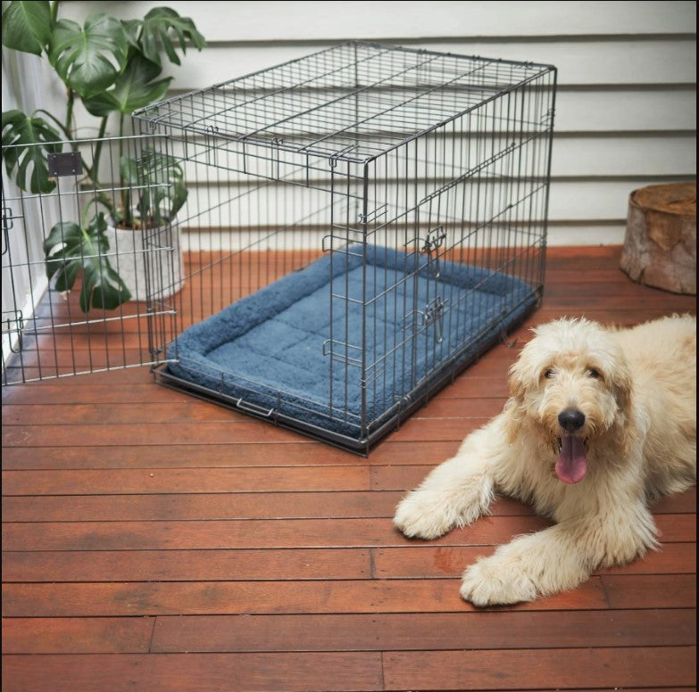 Kazoo Everyday Dog Crate - Medium