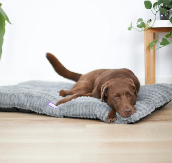 Kazoo Storm Dog Pillow Bed - Grey X-Large