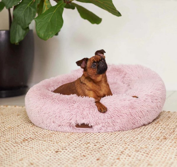 Kazoo Peacock Dog Bed - Rose small