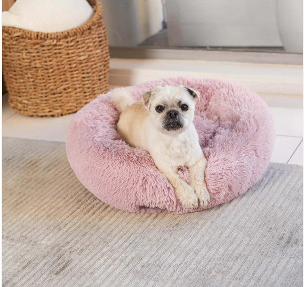 Kazoo Peacock Dog Bed - Rose small