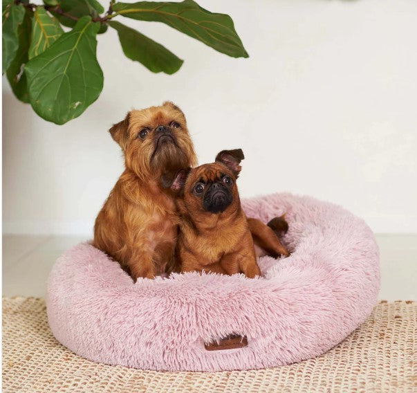 Kazoo Peacock Dog Bed - Rose small