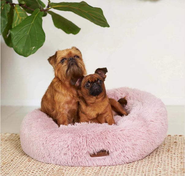 Kazoo Peacock Dog Bed - Rose - Medium