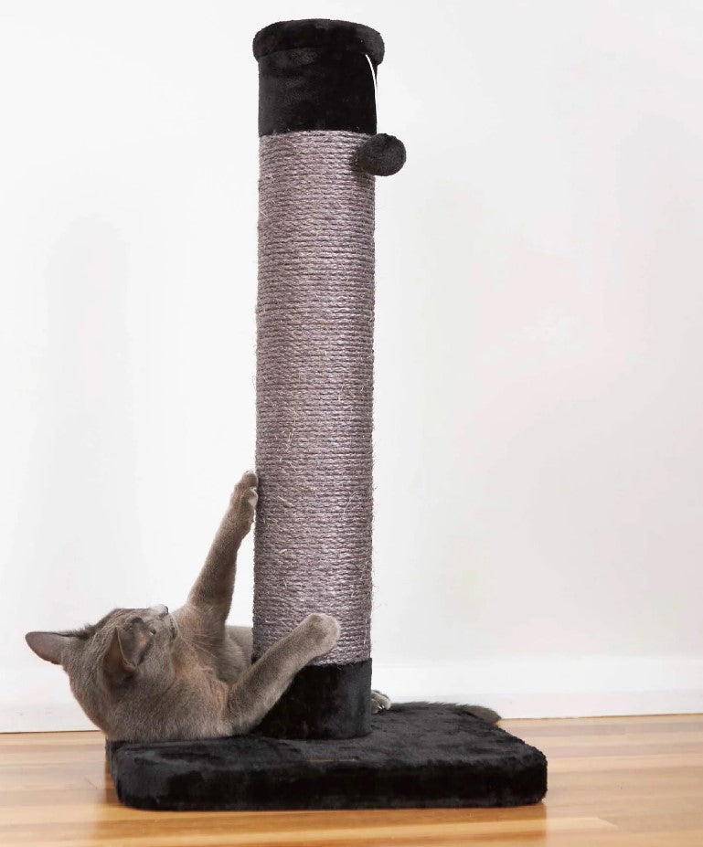 Kazoo Cat Scratch Post - Medium