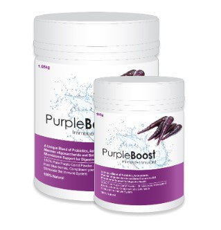 LIFEWISE PURPLE BOOST 180G