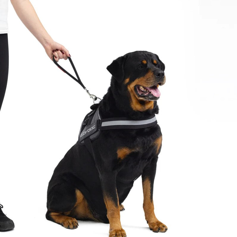 EZYDOG Mongrel Leash - Neo