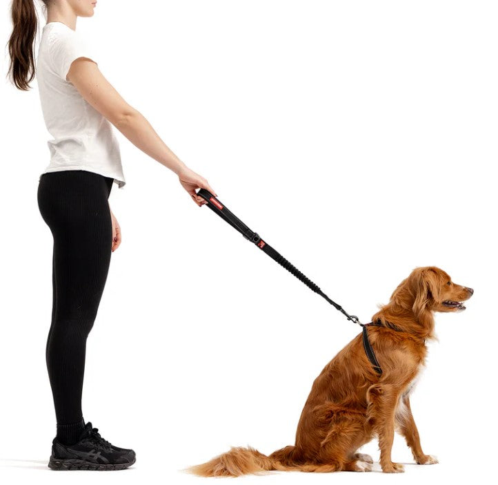 EZYDOG Zero Shock Leash