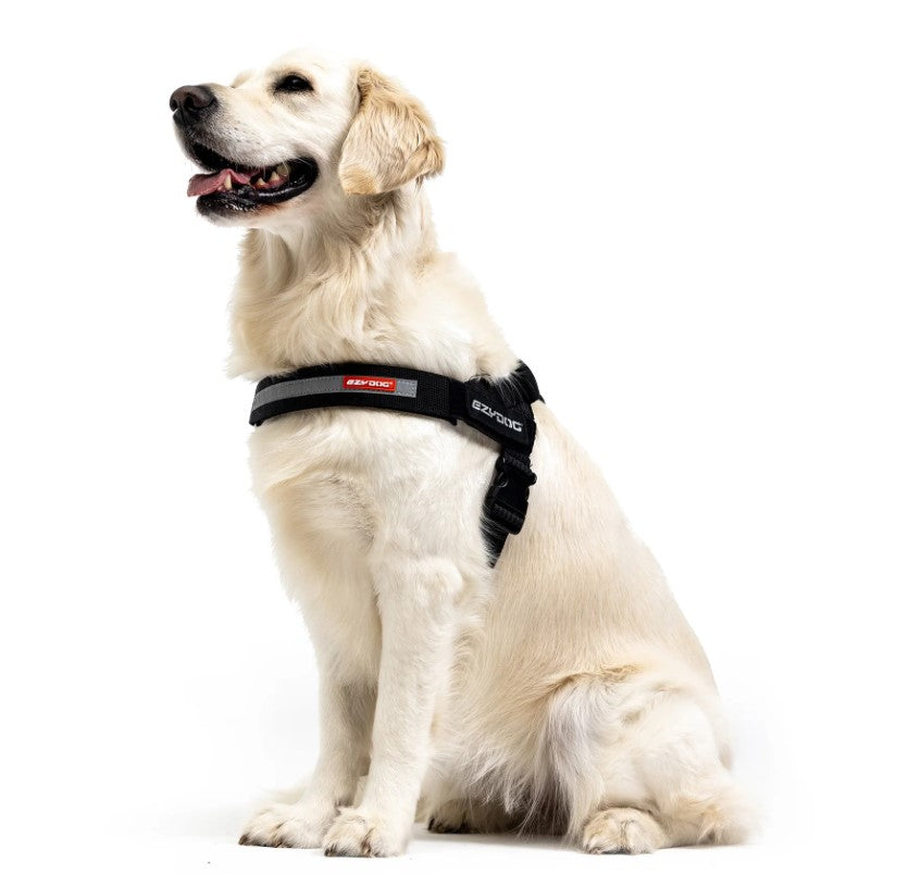 EZYDOG Express Harness Black