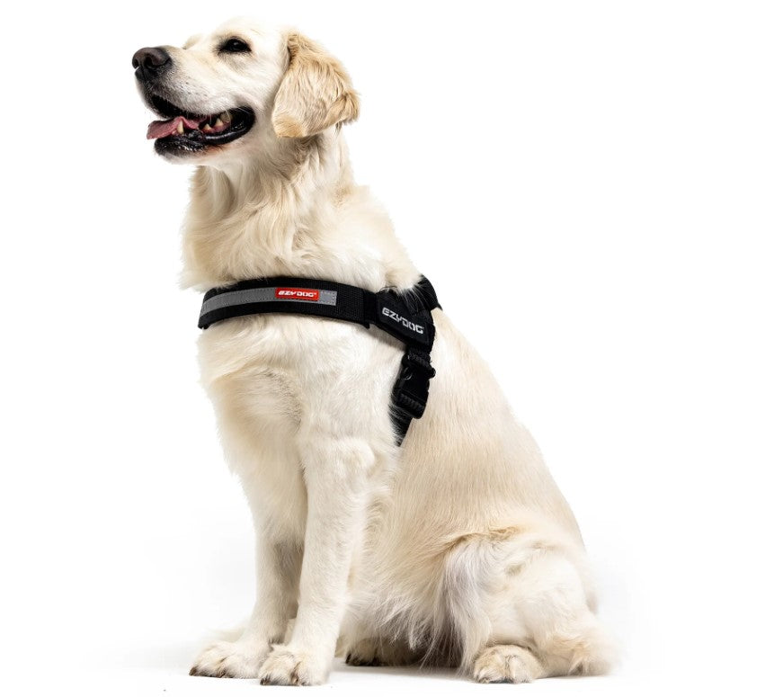 EZYDOG Express Harness RED