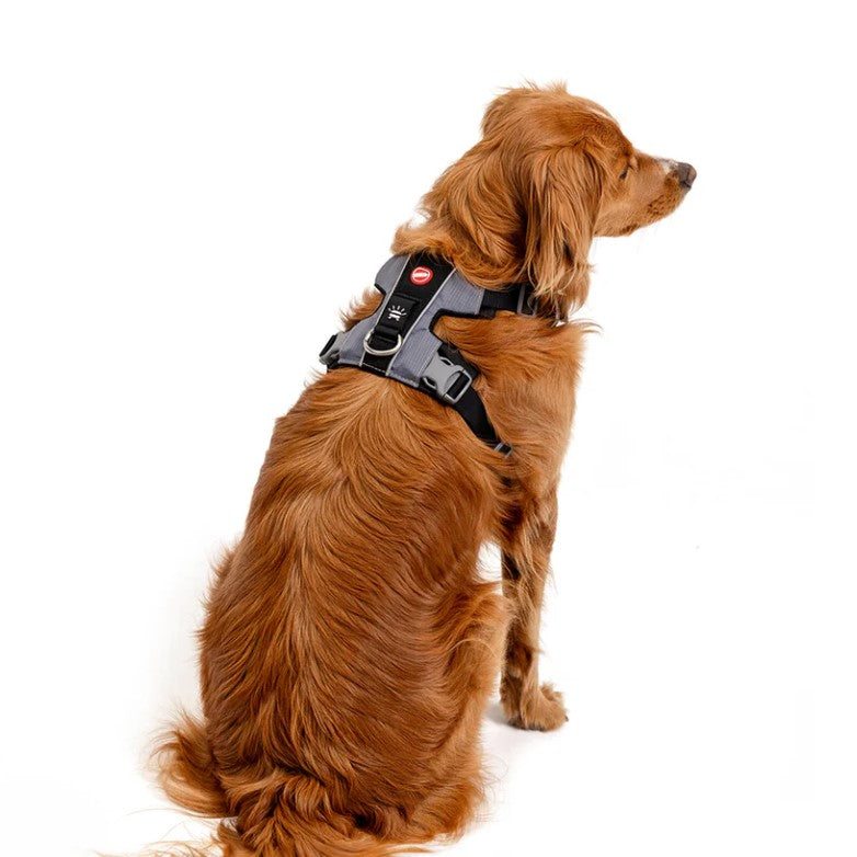 EZYDOG X-Link Harness BLACK