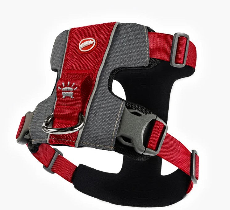 EZYDOG X-Link Harness RED